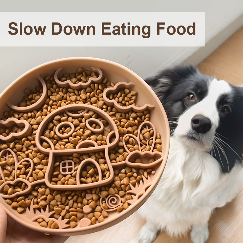 New Mushroom Dog Slow Food Bow - مراجعة Silicone Suction Bowl وسعره