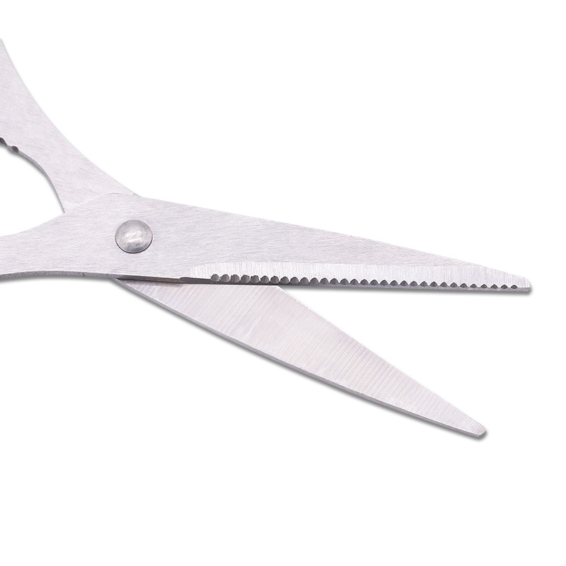 Stainless Steel Scissors Vigor - مراجعة Baby Food Scissors وسعره