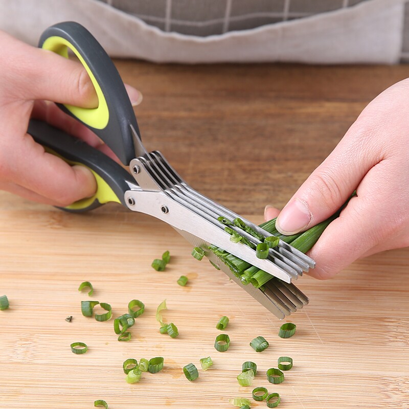 Chopped Scallion Shears, Stain - مراجعة Baby Food Scissors وسعره