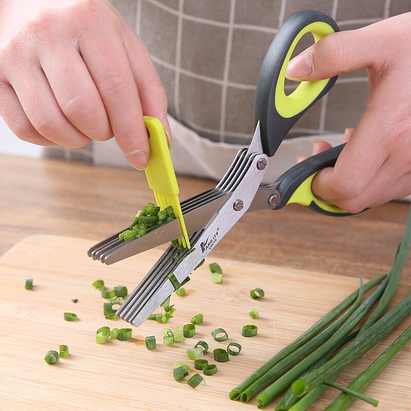 Chopped Scallion Shears, Stain - مراجعة Baby Food Scissors وسعره