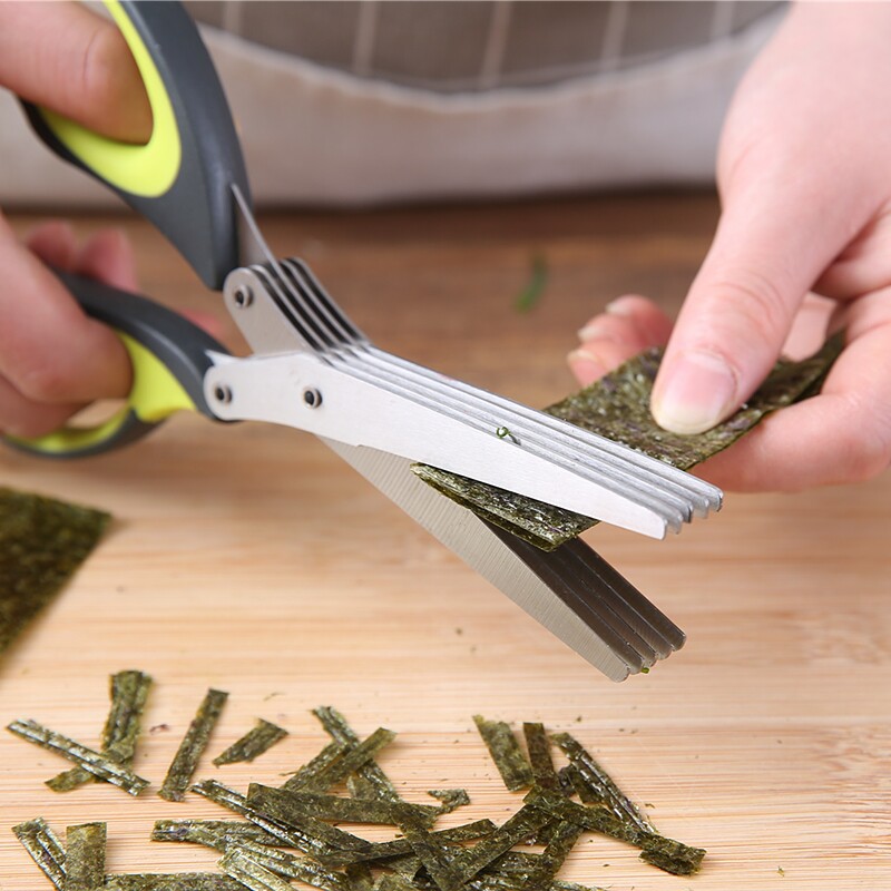Chopped Scallion Shears, Stain - مراجعة Baby Food Scissors وسعره