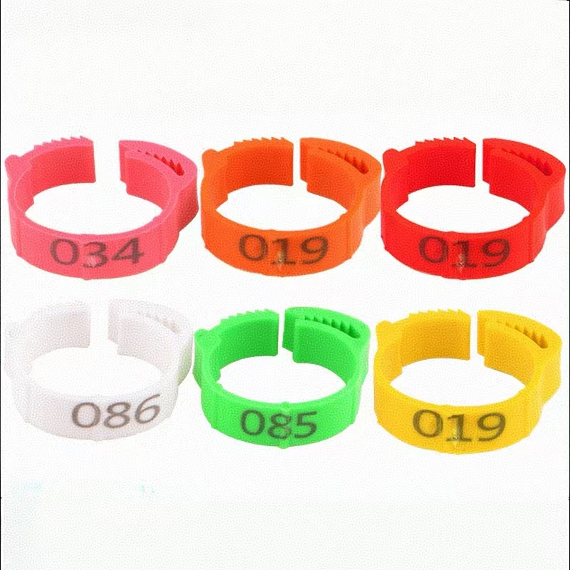 100pcs Chicken Foot Ring Label - مراجعة Baby Food Label وسعره