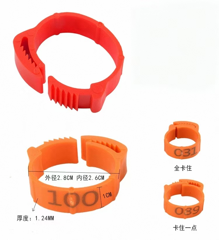 100pcs Chicken Foot Ring Label - مراجعة Baby Food Label وسعره