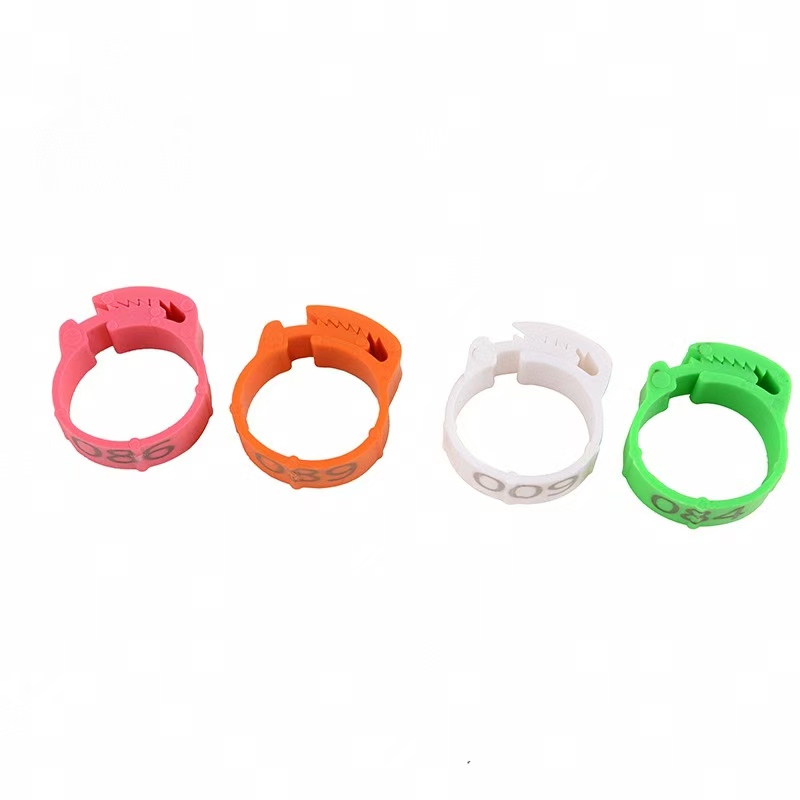 100pcs Chicken Foot Ring Label - مراجعة Baby Food Label وسعره