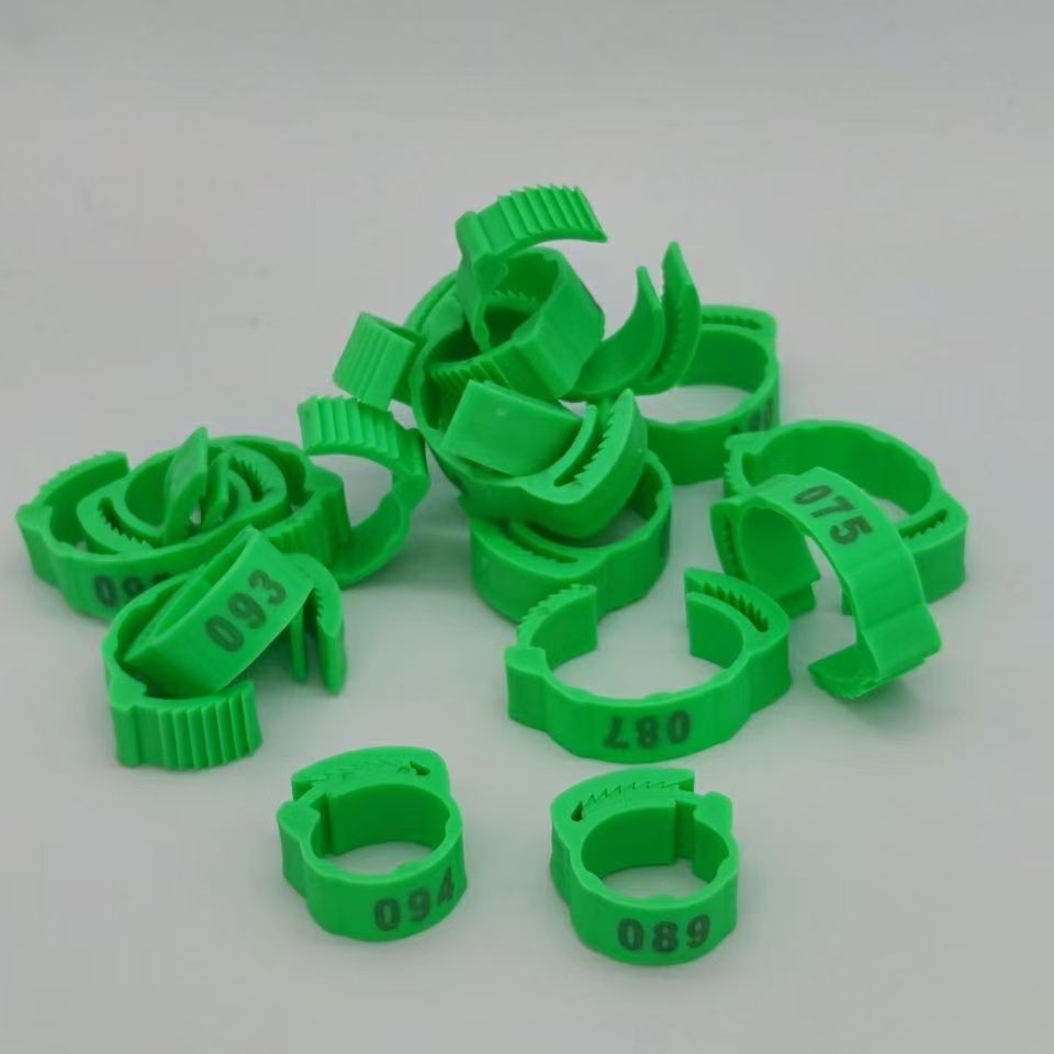 100pcs Chicken Foot Ring Label - مراجعة Baby Food Label وسعره