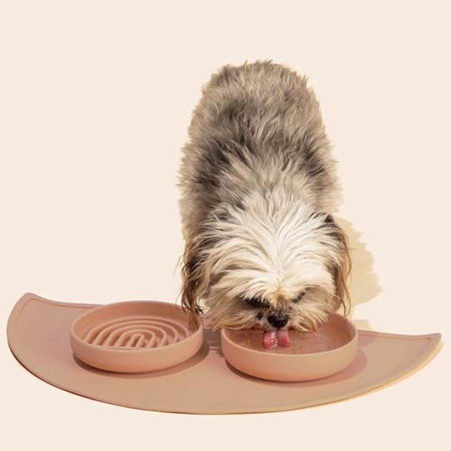 Slow Feeder Dog Bowls - Small  - مراجعة Silicone Suction Bowl وسعره