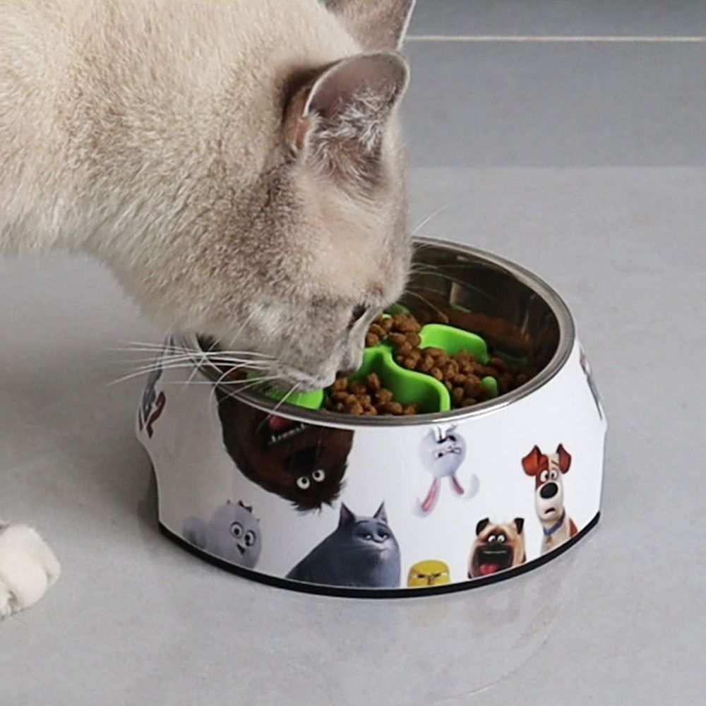 New Silicone Slow Feeder Inser - مراجعة Silicone Suction Bowl وسعره