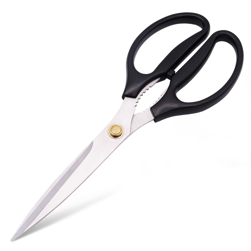 BarbecueScissors Baby Compleme - مراجعة Baby Food Scissors وسعره