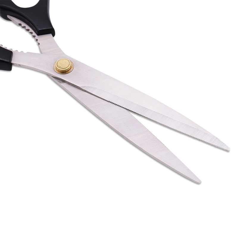 BarbecueScissors Baby Compleme - مراجعة Baby Food Scissors وسعره