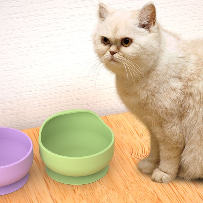 Silicone Pet Bowls with Bottom - مراجعة Silicone Suction Bowl وسعره